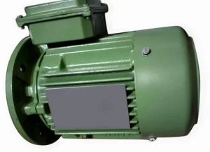 0.75 HP Three Phase AC Induction Motor