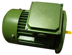 0.75 HP Three Phase AC Induction Motor