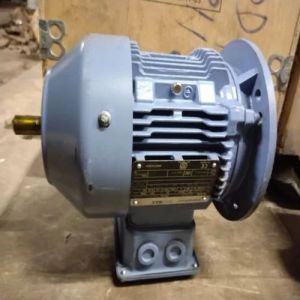 2 HP Flange Mounted Electric Motor