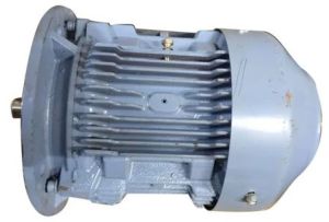 20 HP Flange Type Extended Shaft Motor