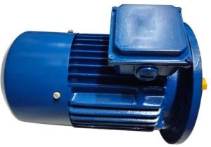 5 HP Three Phase AC Induction Motor
