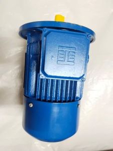 5 HP Three Phase AC Induction Motor