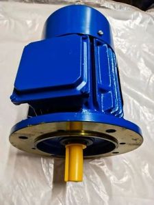 5 HP Three Phase AC Induction Motor