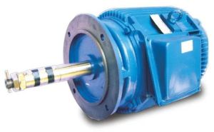 Cooling Tower Motor
