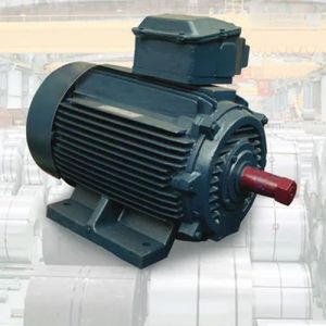 Crane Duty Motor