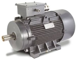 Dual Speed Three Phase Motor