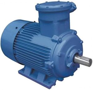 Flame Proof Motor