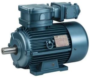 Flame Proof Motor