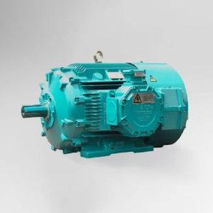 Flame Proof Motor
