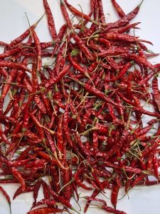Teja Dried Red Chilli