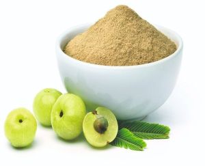 Organic Amla Powder