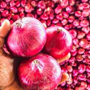 A Grade Fresh Pink Onion