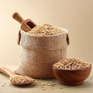 Lokwan Wheat Seed