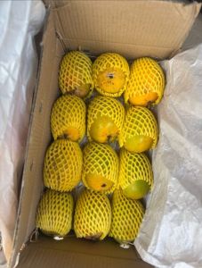 A Grade Fresh Alphonso Mango