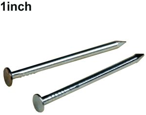 1 Inch Iron Nail