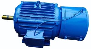 Electromagnetic Brake Motor