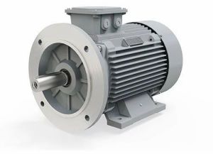 Foot Cum Flange Mounted Electric Motor