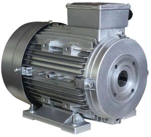 Industrial Hollow Shaft Drive Motor
