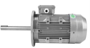 Precision Long Shaft Taper Motor
