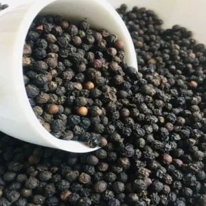 Bold Black Pepper Seeds