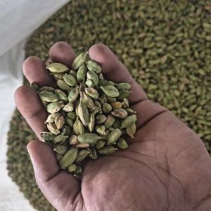Rejection Green Cardamom Seeds For Grinding