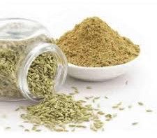 Fennel Seed Extract Powder