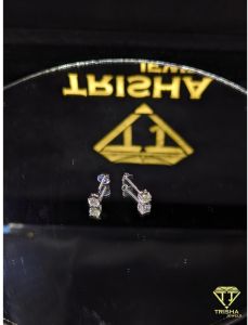 VVS Moissanite Diamond 925 Sterling Silver Stud Earrings