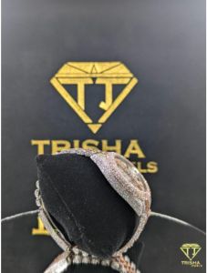 Luxury Two Tone Rose Gold VVS Moissanite Diamond Watch