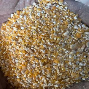 Makka Daliya Cattle Feed