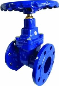 Flanged Gate Valve