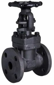 Forged Steel Gate Valve