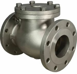 Industrial Check Valve