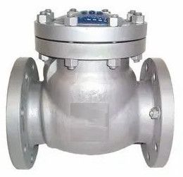 Reverse Flow Check Valve
