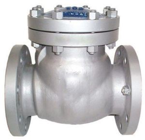 Swing Check Valve