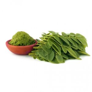 Organic Moringa Leaves Powder