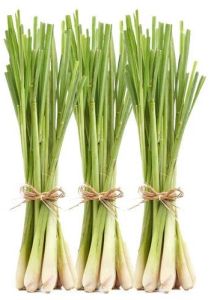 Fresh Lemongrass