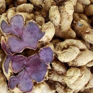 Organic Black Ginger