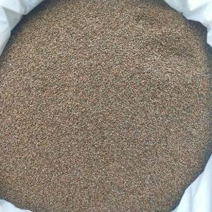 Perilla Seeds