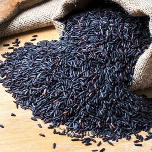 Premium Black Rice