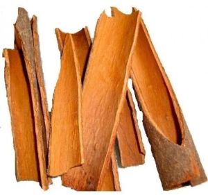 Split Cassia