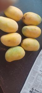 A Grade Kesar Mango