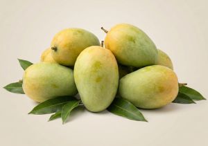 Organic Kesar Mango