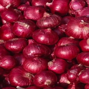 Farm Fresh Red Onion