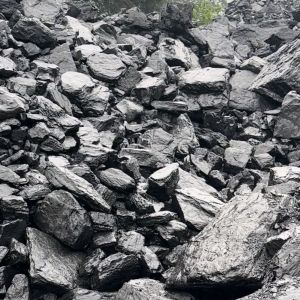 G7 Steam Coal