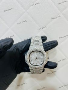 Frosted Dial VVS Moissanite Prestige Wrist Watch