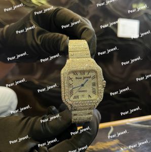 Iced Out Roman Dial Automatic Stainless Steel Diamond Watch