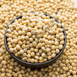 Natural Soybean Seeds