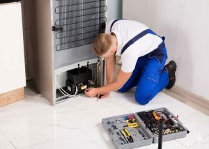 Commercial Refrigerator Repairing Services
