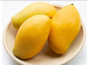 Organic Mallika Mango