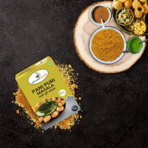 Zesty Street Pani Puri Masala Powder